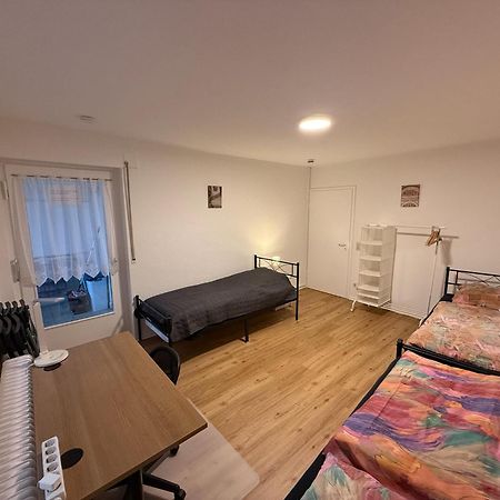 Big, Cosy And Central Apartment Карлсруэ Экстерьер фото